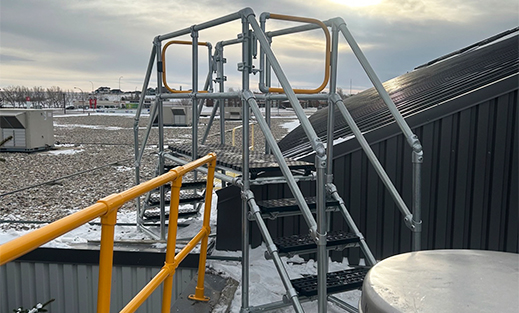 Kee Step Cropped Small