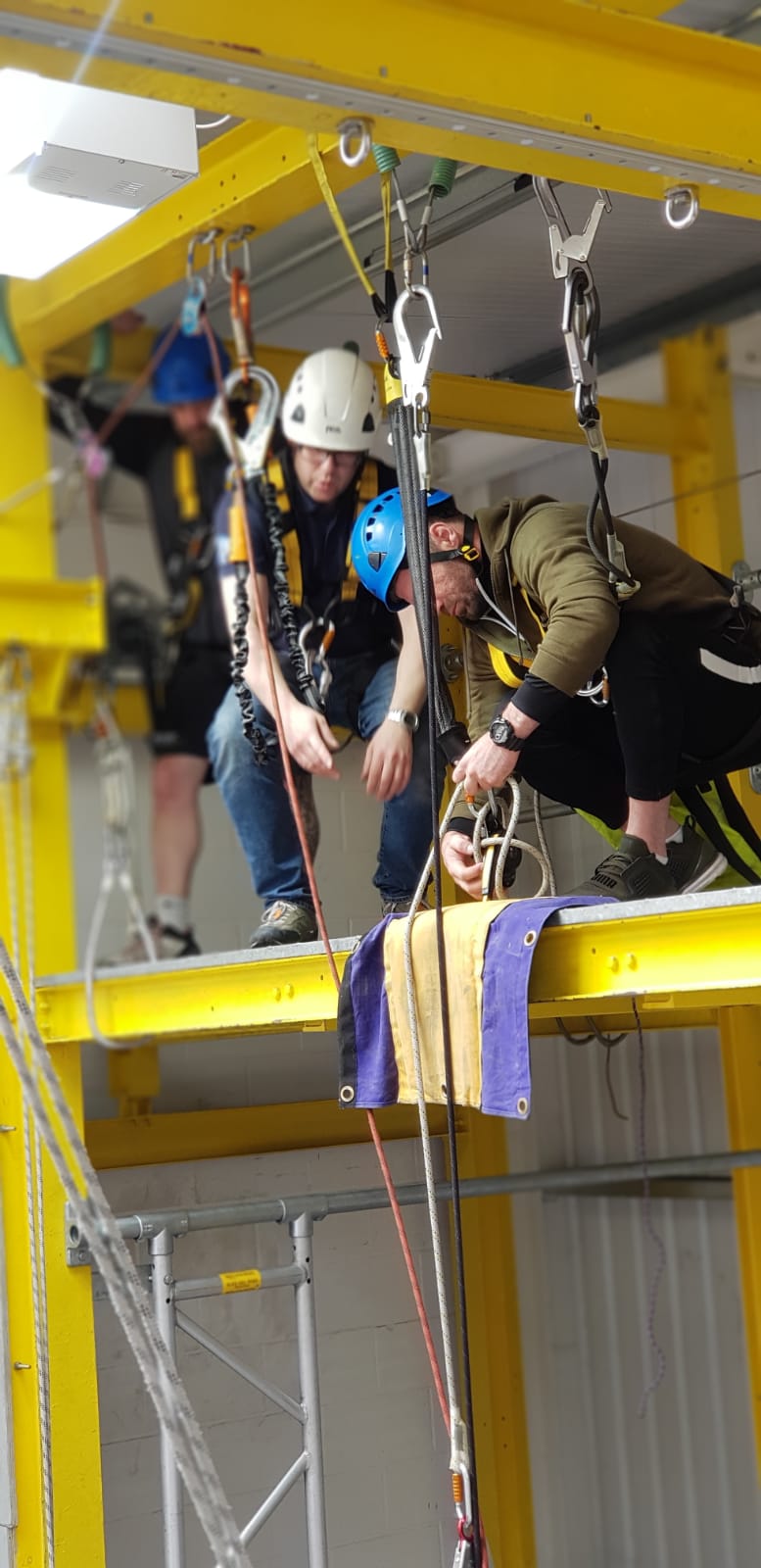 52Aff726 071F 4E2c 8E3b 63329C9b80cf